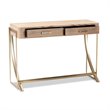 Bowery Hill Mid-Century 2-Drawer Wood Console Table in Brown and Gold