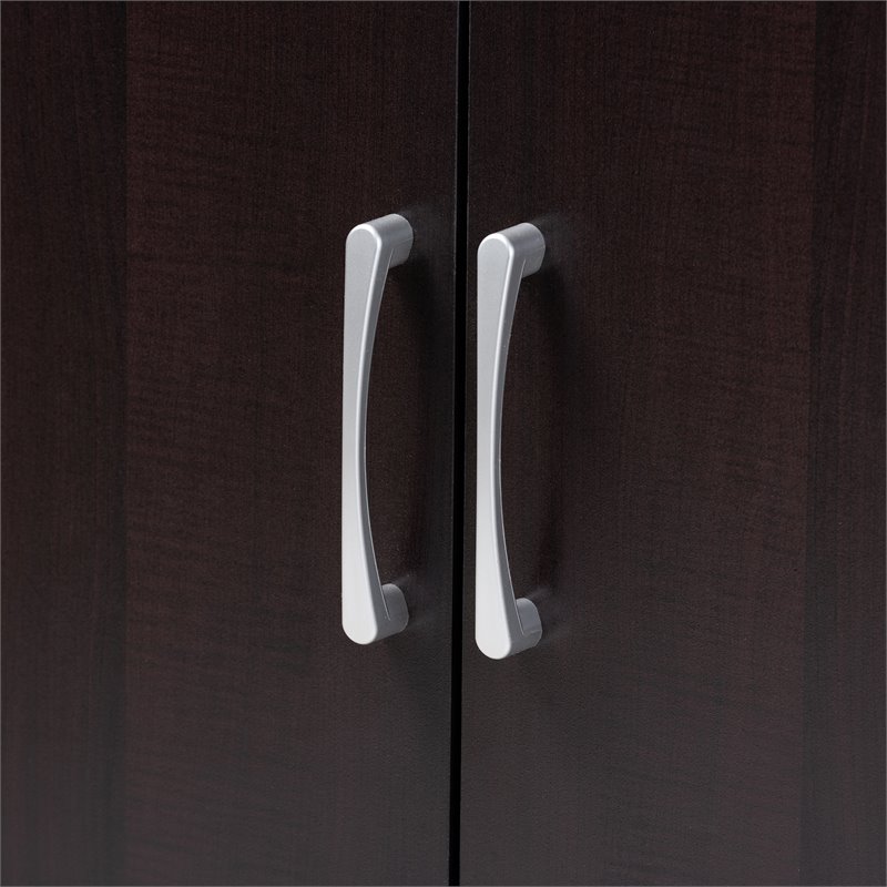 Bowery Hill Wenge Brown Finished 2-Door Wood Shoe Cabinet