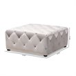 Bowery Hill Modern Tufted Velvet Coffee Table Ottoman in Slate Gray