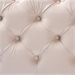Bowery Hill Modern Tufted Velvet Ottoman in Light Beige and Gold