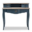 Bowery Hill Blue Spruce Finished Wood Accent Writing Desk