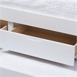 Bowery Hill Wood Storage Daybed with Trundle in White