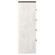 Bowery Hill Four Drawer Engineered Wood Chest in Gray and White