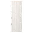 Bowery Hill Four Drawer Engineered Wood Chest in Gray and White