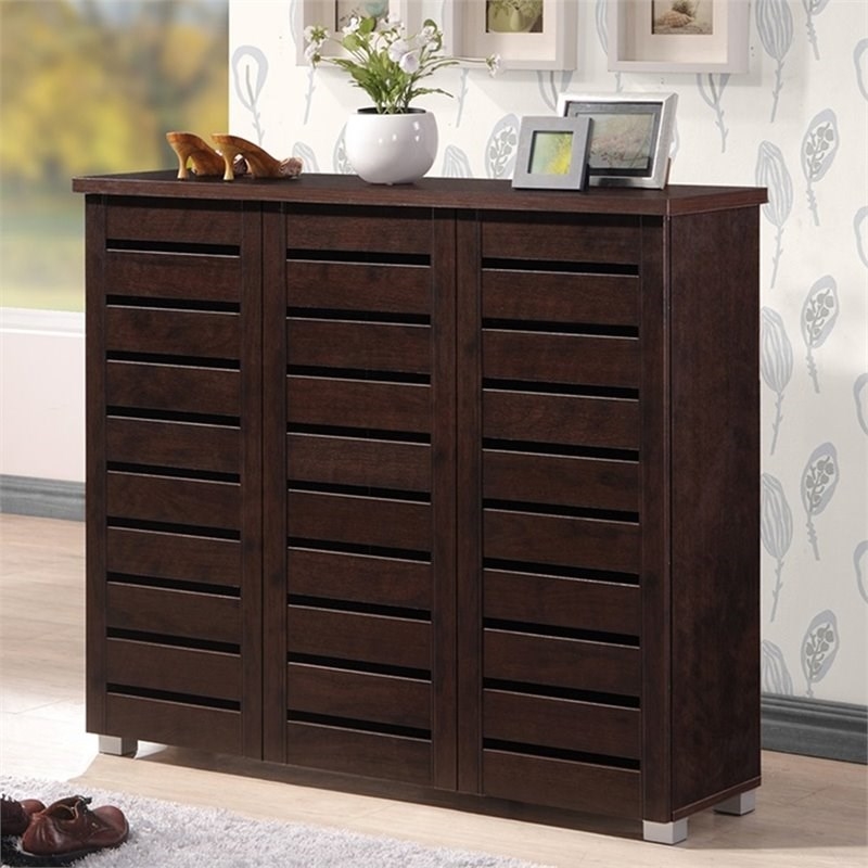 Bowery Hill Modern Wood 3 Door Shoe Cabinet in Dark Brown Finish