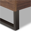 Bowery Hill Modern Wood Queen Platform Bed in White/Mahogany Brown