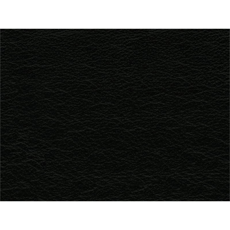 Bowery Hill Contemporary Genuine Leather Accent Chair in Fiero Black