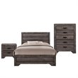 Bowery Hill Solid Wood 3 Piece Youth Full Panel Bedroom Set in Wire Brush Gray