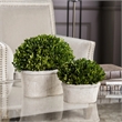 Bowery Hill Preserved Boxwood 2 Piece Oval Dome Set in Mossy Stone
