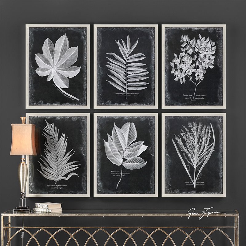 Bowery Hill Modern 6 Piece Botanical Print Set in Black and White