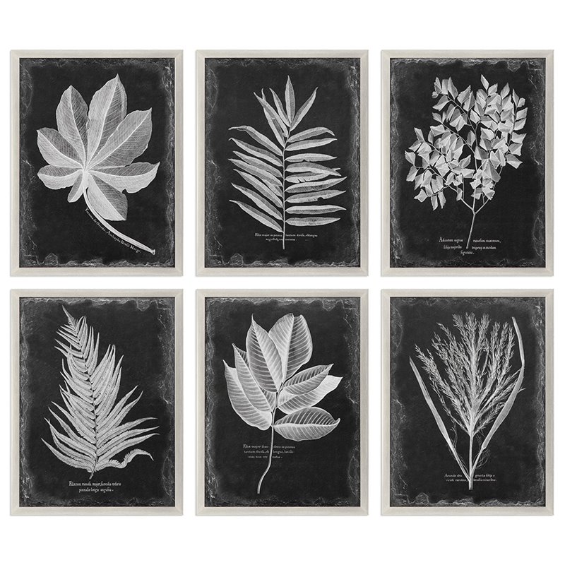 Bowery Hill Modern 6 Piece Botanical Print Set in Black and White