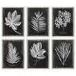Bowery Hill Modern 6 Piece Botanical Print Set in Black and White