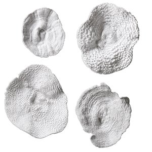 Bowery Hill 4 Piece Sea Coral Wall Sculpture Set in Antique White