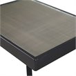 Bowery Hill Contemporary Glass Top End Table in Black