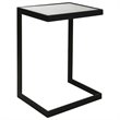 Bowery Hill Contemporary Glass Top End Table in Black