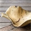 Bowery Hill Contemporary Tamarine Bowl in Natural