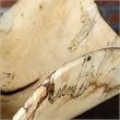 Bowery Hill Contemporary Tamarine Bowl in Natural