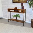 Bowery Hill Modern Metal Console in Chestnut and Black