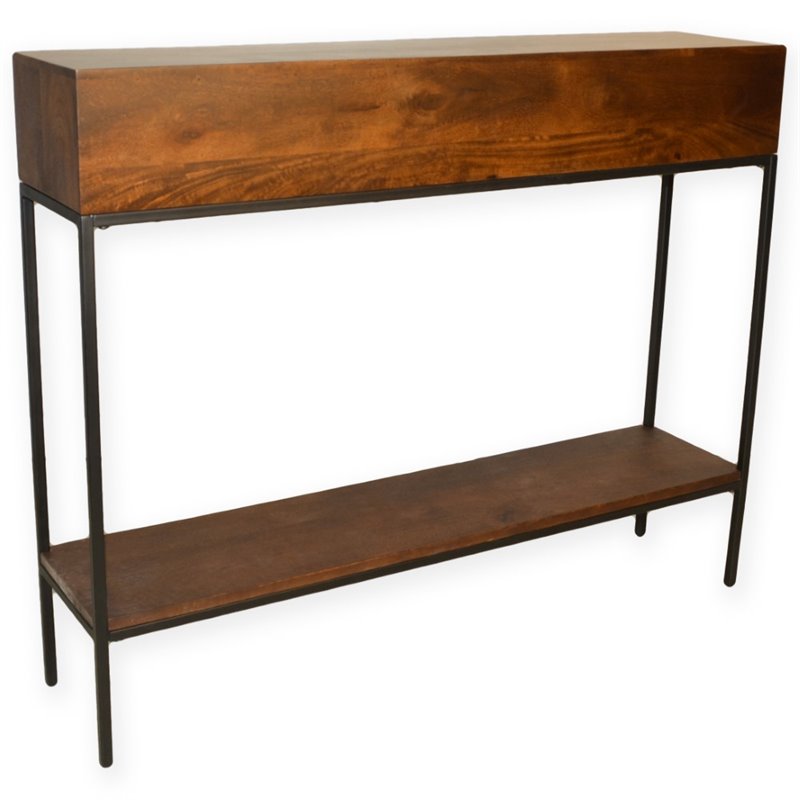 Bowery Hill Modern Metal Console in Chestnut and Black