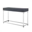 Bowery Hill Modern Metal Console Table with Acrylic Legs in Dark Gray/Chrome