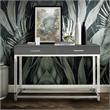 Bowery Hill Modern Metal Console Table with Acrylic Legs in Dark Gray/Chrome