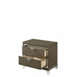 Bowery Hill Contemporary Nightstand in Dark Champagne