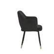 Bowery Hill Contemporary Accent Chair in Black Velvet & Gold