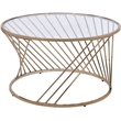 Bowery Hill Contemporary Coffee Table in Gold and Champagne Finish