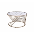 Bowery Hill Contemporary Coffee Table in Gold and Champagne Finish
