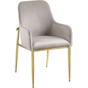 bowery hill modern side chair in gray velvet & mirrored gold finish (set of 2)