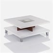 Bowery Hill Wood Square Coffee Table with Storage in Walnut