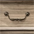 Bowery Hill 5 Drawers Farmhouse Solid Wood Chest in Rustic Natural