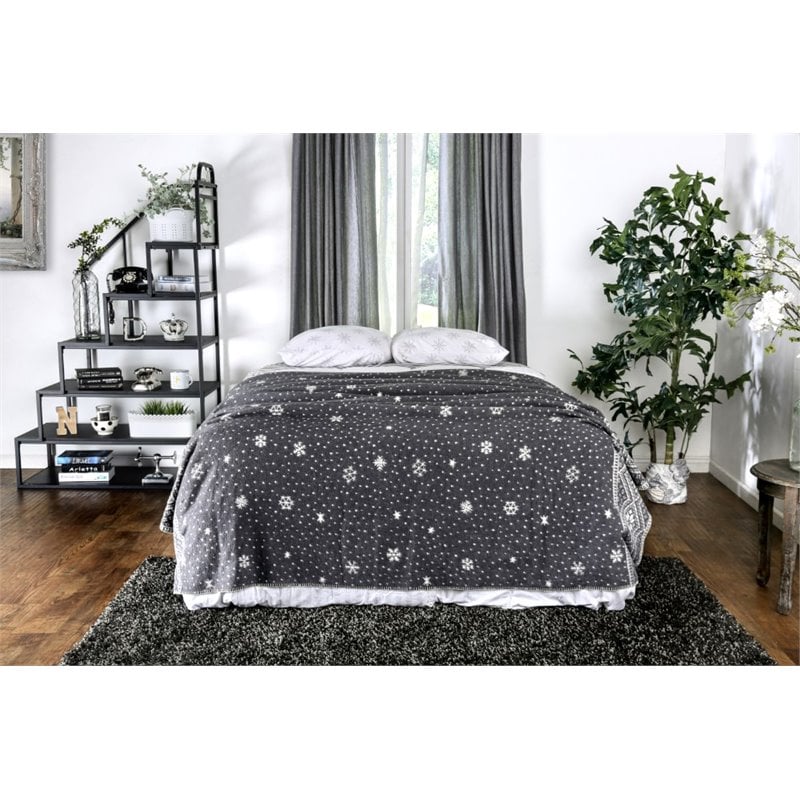 Bowery Hill Transitional Metal Queen Bed Frame in Silver