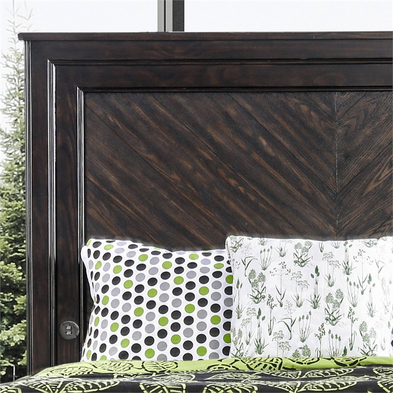 Bowery Hill Wood Storage Queen Bed with USB Charging Ports in Espresso