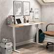 Bowery Hill Modern Wood and Metal Height Adjustable Desk in White