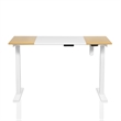 Bowery Hill Modern Wood and Metal Height Adjustable Desk in White