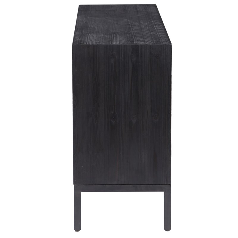 Bowery Hill Contemporary 2 Door Wood Cabinet in Ebony