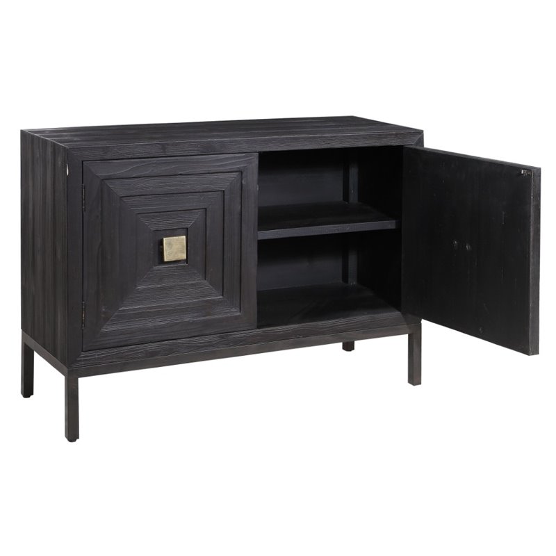 Bowery Hill Contemporary 2 Door Wood Cabinet in Ebony