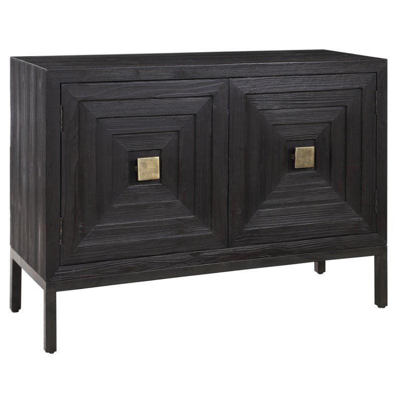 Bowery Hill Contemporary 2 Door Wood Cabinet in Ebony