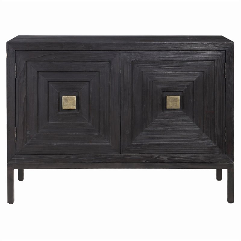 Bowery Hill Contemporary 2 Door Wood Cabinet in Ebony