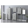 Bowery Hill Wood Wall Cabinet with Doors and Shelves in Gray/Chrome