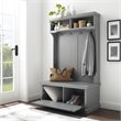 Bowery Hill 4 Double Hooks Wood Hall Tree in Distressed Gray/Chrome