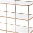 Bowery Hill Contemporary Metal 2-Shelf Console Table in Champagne Finish