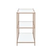 Bowery Hill Contemporary Metal 2-Shelf Console Table in Champagne Finish