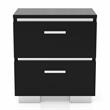 Bowery Hill Contemporary Wood Nightstand in Black (Set of 2)