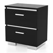 Bowery Hill Contemporary Wood Nightstand in Black (Set of 2)