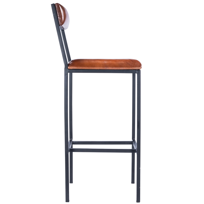 Bowery Hill Contemporary Leather & Metal Bar Stool in Brown Finish
