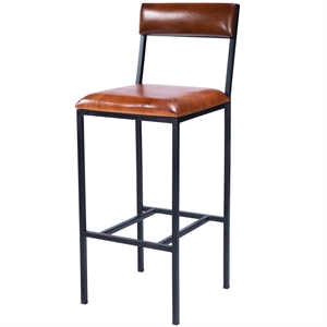 Bowery Hill Contemporary Leather & Metal Bar Stool in Brown Finish