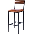 Bowery Hill Contemporary Leather & Metal Bar Stool in Brown Finish
