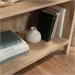 Bowery Hill 4-Shelf Coastal Engineered Wood Bookcase in Prime Oak